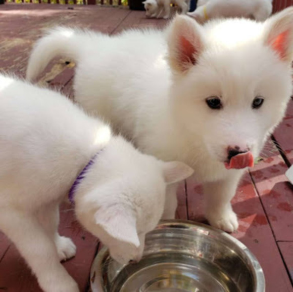 Meet your Posher, Sarah - Picture 1 of 1